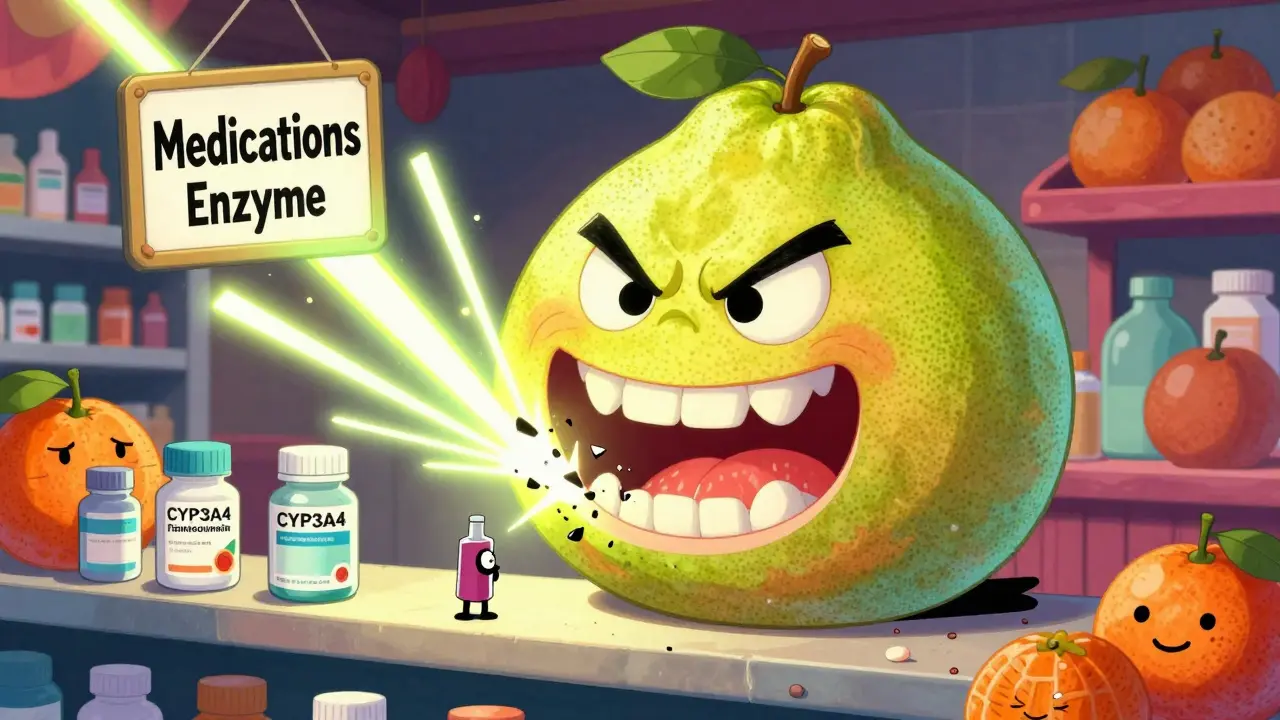 Citrus Fruits Beyond Grapefruit: Pomelo and Seville Orange Effects on Drugs